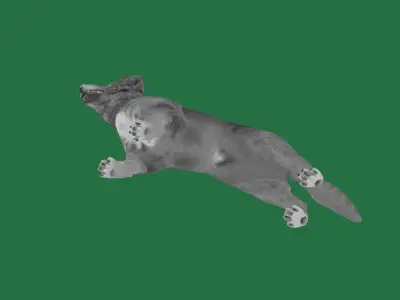 Nova Scotia Duck Tolling Retriever Dog Low-poly 3D model