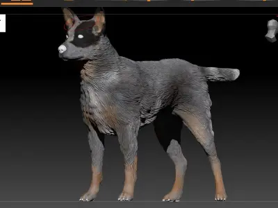 Cattle Dog Low-poly 3D model