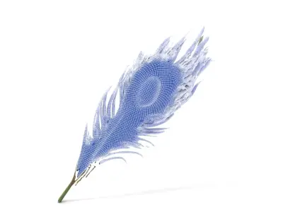 Elegant Peacock Feather model pack Low-poly 3D model