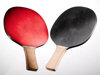 Ping Pong Paddle 3D model