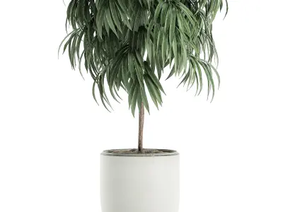 Decorative tree in a white flowerpot for interior design 501 3D model