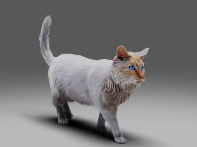 Fur Cat White NO Rigged Low-poly 3D model
