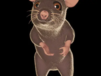 3D Mouse in pose 3D model