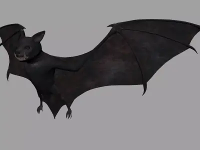 Bat-Rigged 3D model