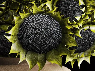 Realistic bouquet green sunflowers ceramic vase decor new 3D model