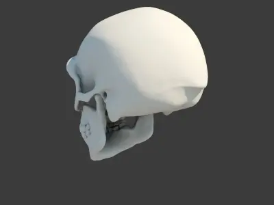 Skull Neanderthal 3D model