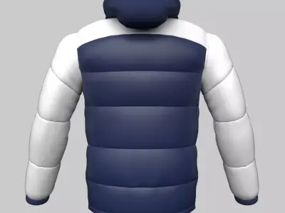 Jacket 3D model buy