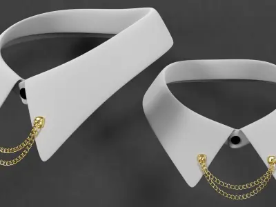 Collar accessory w chain 3D model