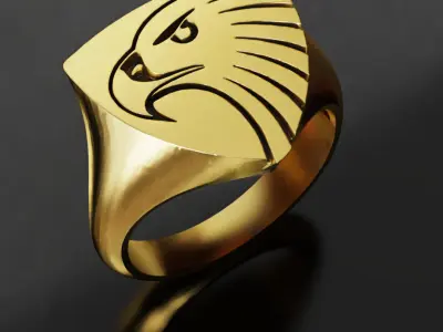 Hawks Australia Football Fans 3D print model  3D print model