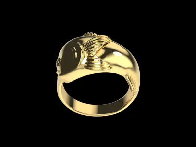 MAHI MAHI DORADO DOLPHIN FISH HEAD RING 3D print model