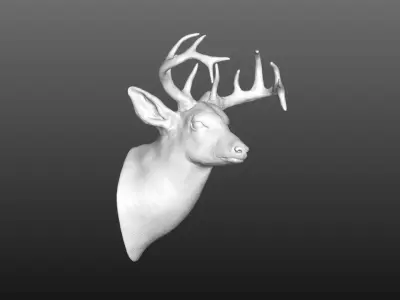 deer head 3D model 12