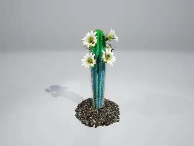 Cactus collection with flowers 3D model