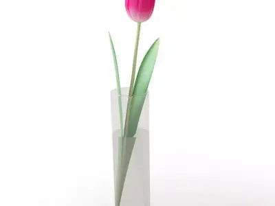 Pink Tulip In A Vase 3D model
