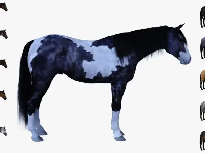 3ds max horse bundle 3D model