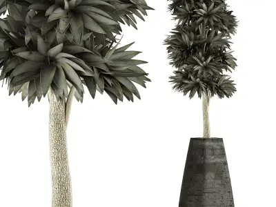 Plants Collection 62 3D model