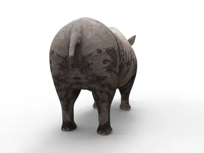 Dirty Realistic Rhino 3D Models  Low-poly 3D model