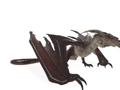 Epic Mythical Dragon Detailed Rigged 3D Model 3D model