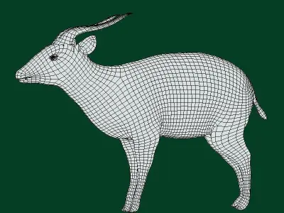 Eastern Bongo Male Antelope Low-poly 3D model