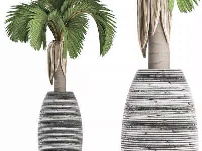Plants Collection 183 Palm 3D model
