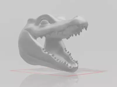 Crocodile Head 3D model