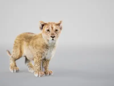 Lion Cub Rig UNREAL project  Maya base rig 3D model