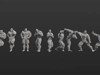 36 Bodybuilder Figure Printable Set-01 3D model
