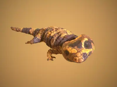 Lizard Low-poly 3D model