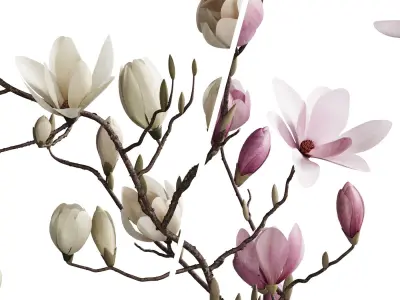 Flower In Vase 85 3D model