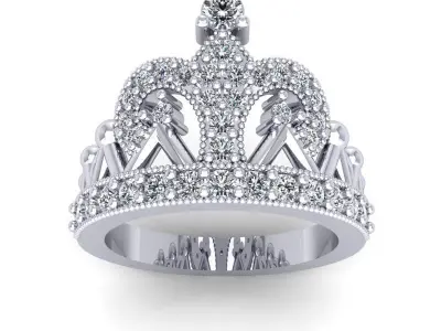 CAD-1848-Ring 3D print model