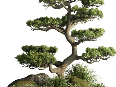 indoor plant set013 3D model