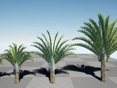 HQ Plants Volume 7 Palms for unreal engine 3D model set of 24 3D model