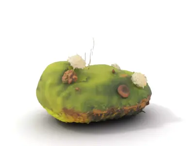 Fluffy Green Island model pack Low-poly 3D model