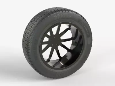 Asymmetrical Tire With Alloy Rim 3D model
