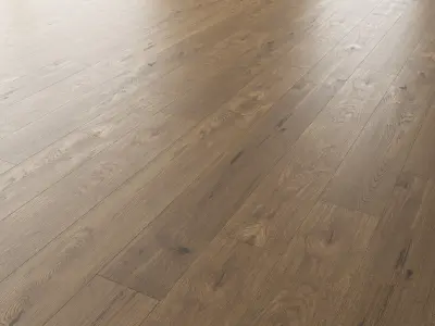 Wood Floor Set 11 3D model