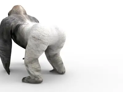  gorilla Rigged 3D Models game ready Low-poly 3D model