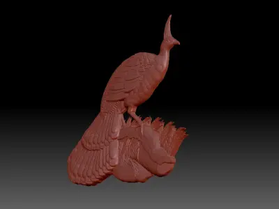 Peacock 3D print model