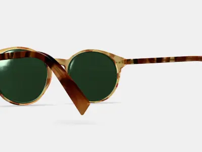 Morgan Sunglasses in Mesa Tortoise Low-poly 3D model