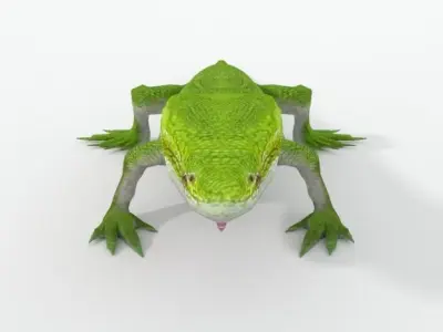Anole Lizard  - Carolina anole Low-poly 3D model
