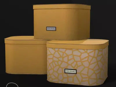 Designer Storage Box -Double Texures Low-poly 3D model