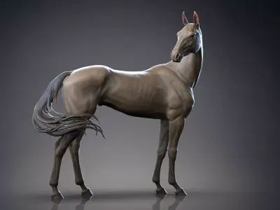 Akhal-Teke horse standing I 3D Sculpting 3D print model