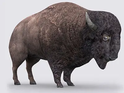 3DRT - Bison Low-poly 3D model