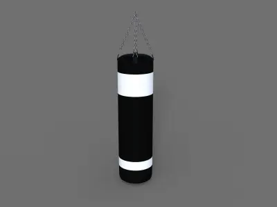 Punching Bag  Free 3D model