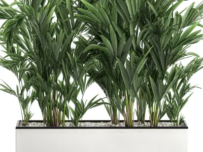 Decorative palm in a white flowerpot 573 3D model