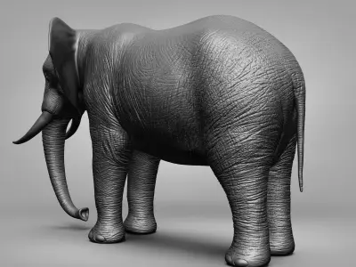 Wild animal collection 3D model