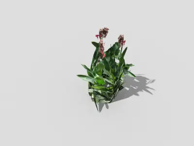 Low poly Plant Low-poly 3D model