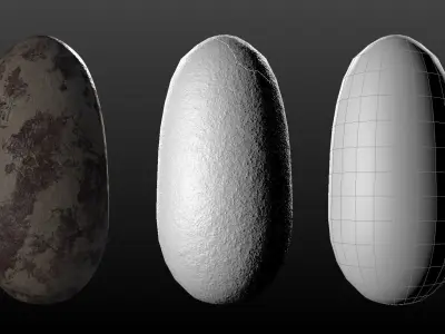 Dinosaur Embryo Low-poly 3D model