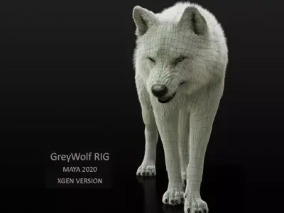 Arctic Wolf RIGGED XGEN igs 3D model