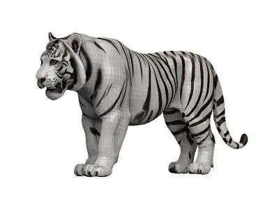White Tiger Low-poly 3D model
