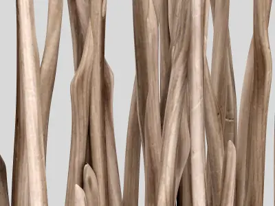 Sang crooked decor pebble n2 3D model