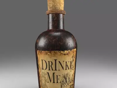Decorative Bottle 3D model